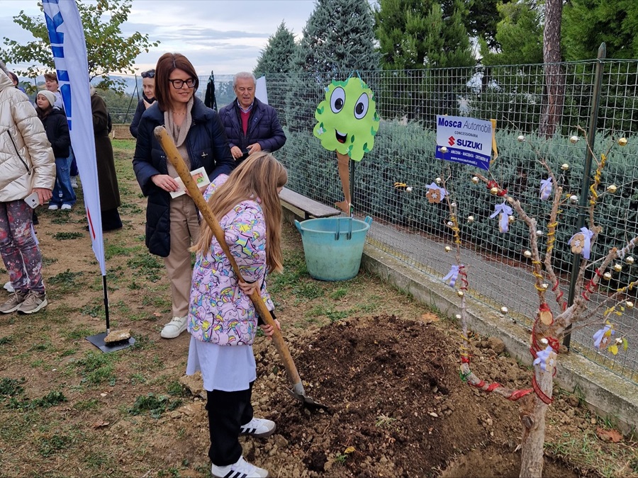 Recanati celebra la Giornata nazionale degli alberi. Piantato un melograno alla Primaria ‘Pittura del braccio’
